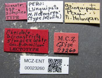 Media type: image;   Entomology 23260 Aspect: labels
